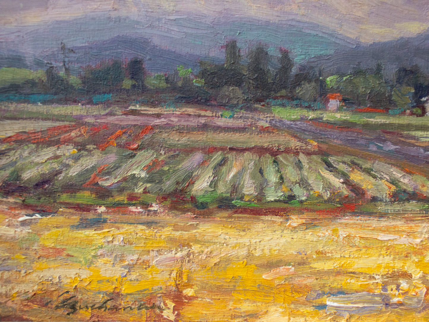 Garland Farms Yellow Field     12"x16"