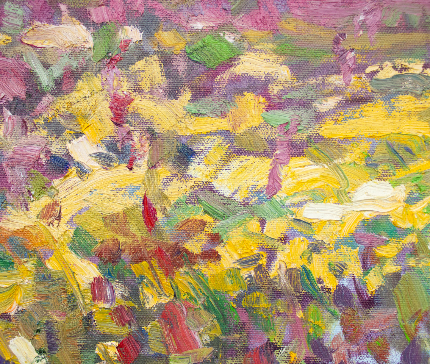 Oregon Sunshine Barn     16" x 20"