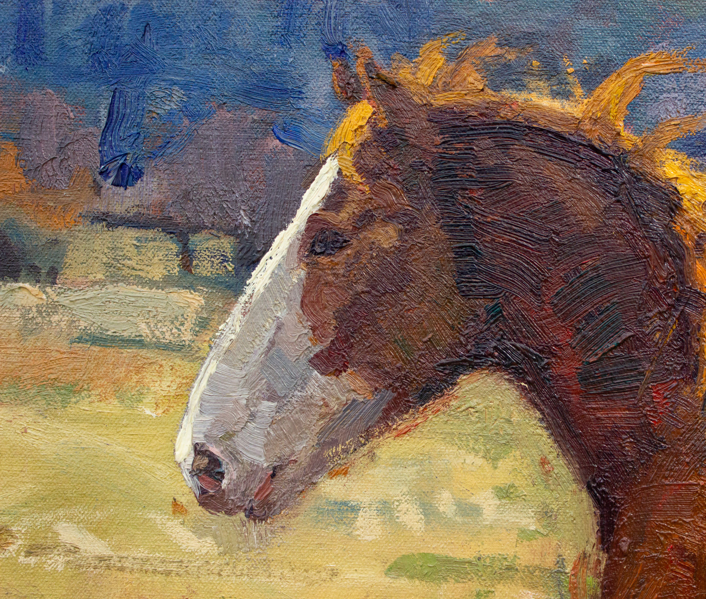 Strength and Spirit   24" x 30"