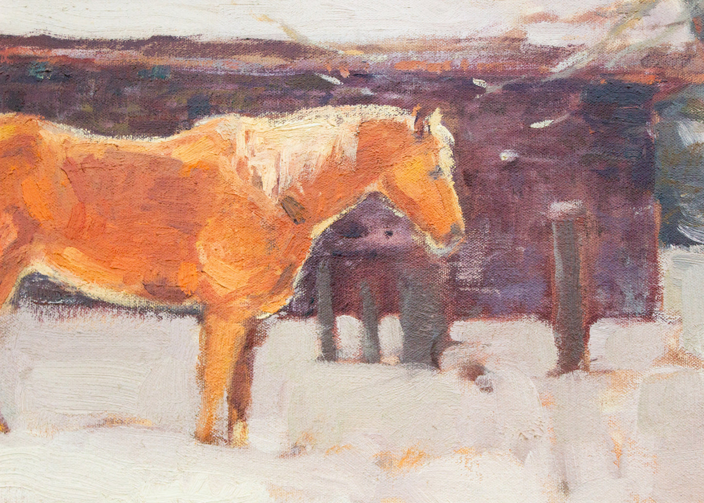 Covered In Winter Coats     24" x 36"