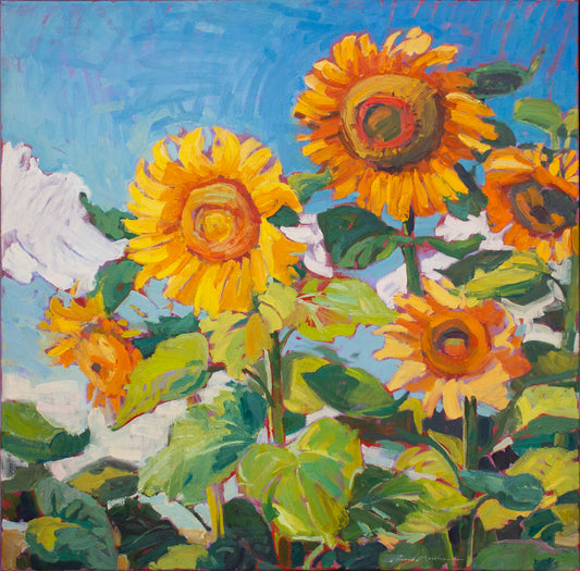 Five August Sunflowers     36" x 36"
