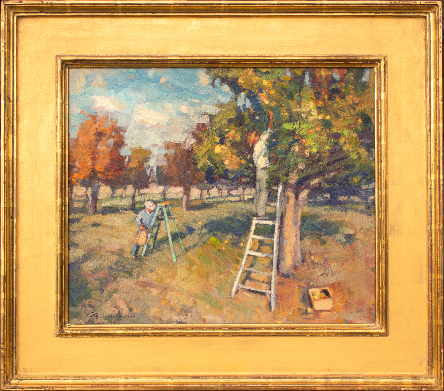 Apple Harvest      16" x 20"