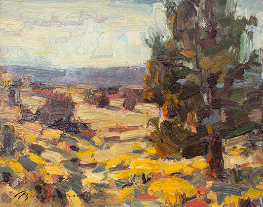 Barnes Butte Juniper     8" x 10"