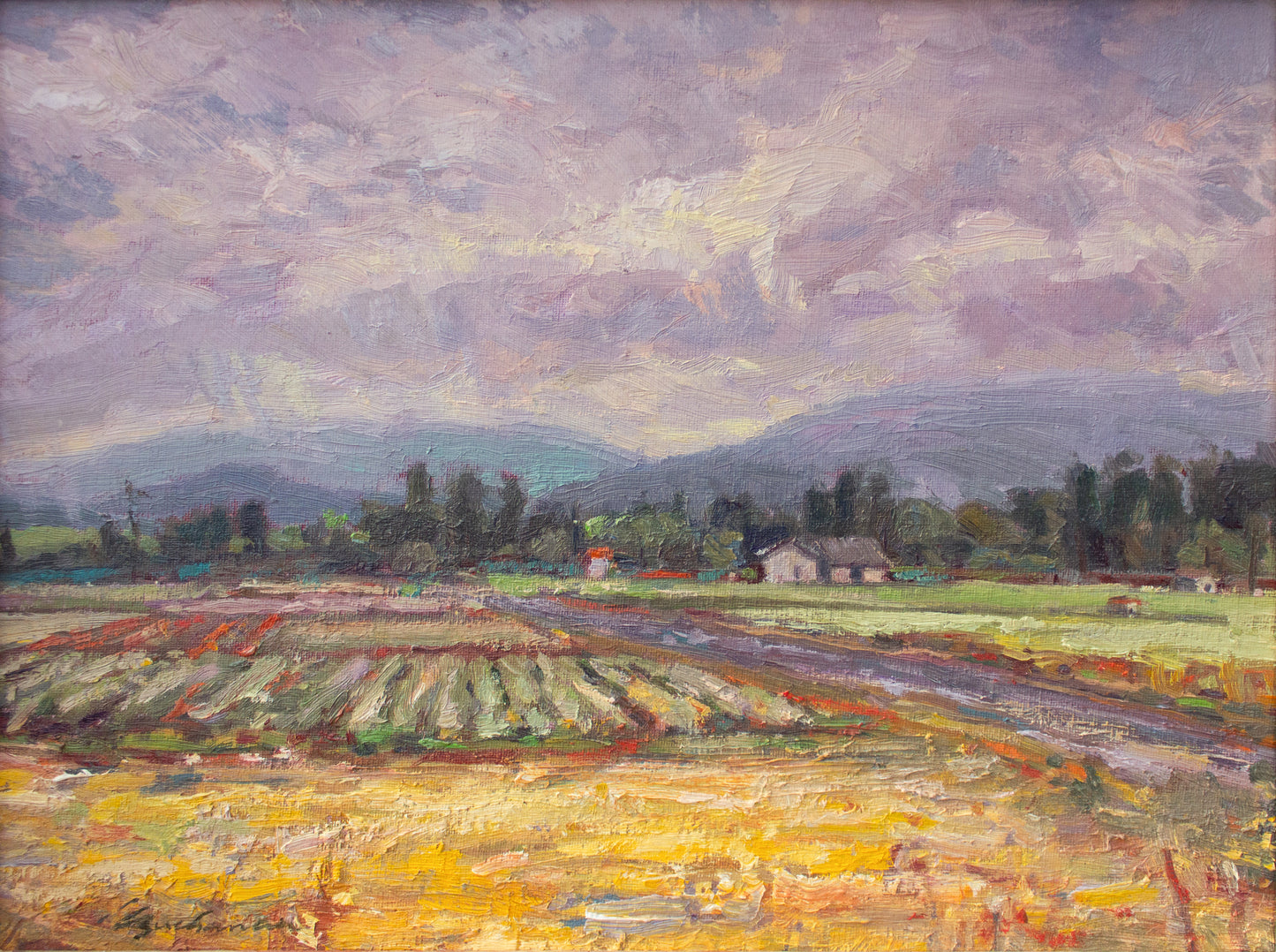 Garland Farms Yellow Field     12"x16"