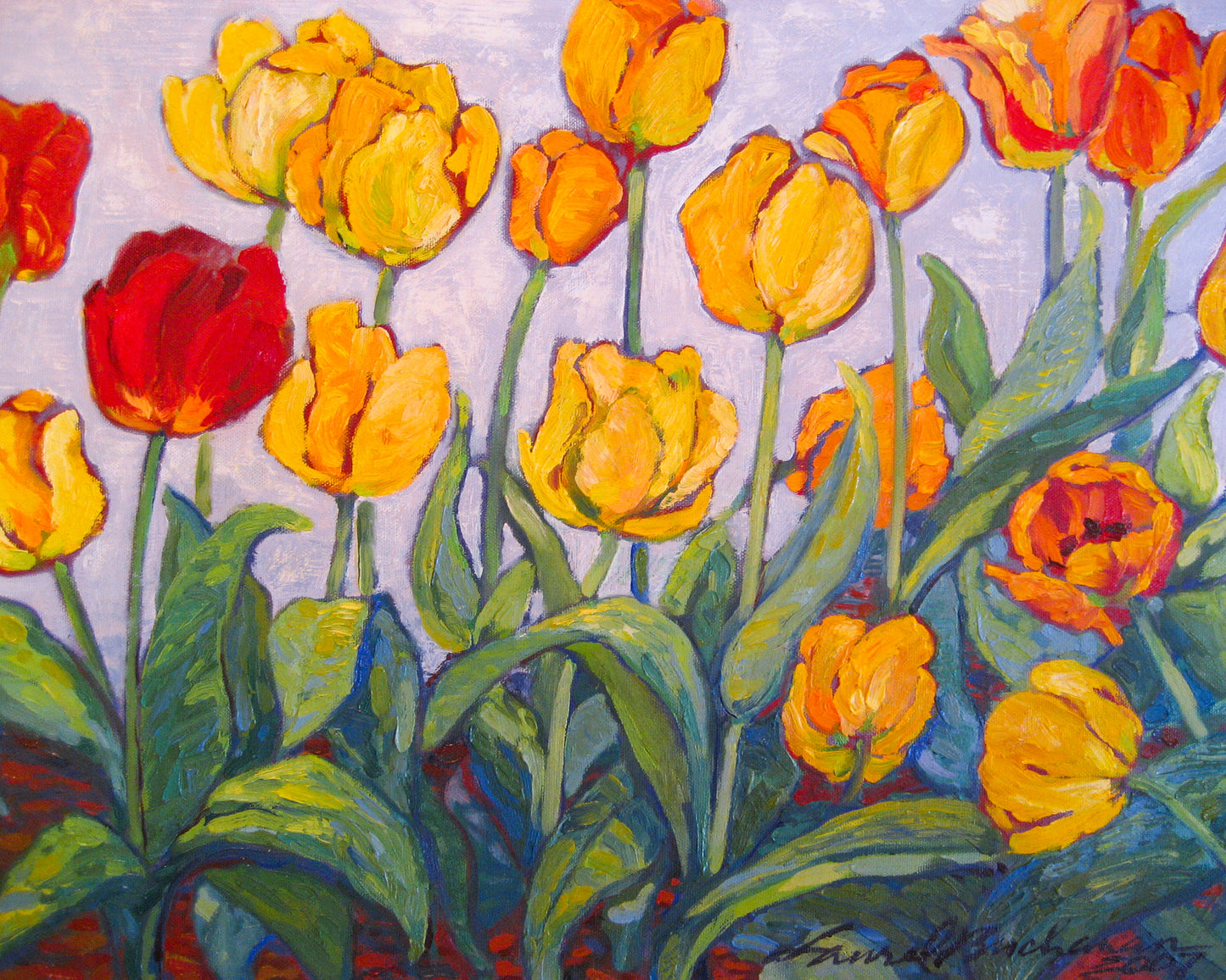 Yellow & Red Tulips        16"x 20"