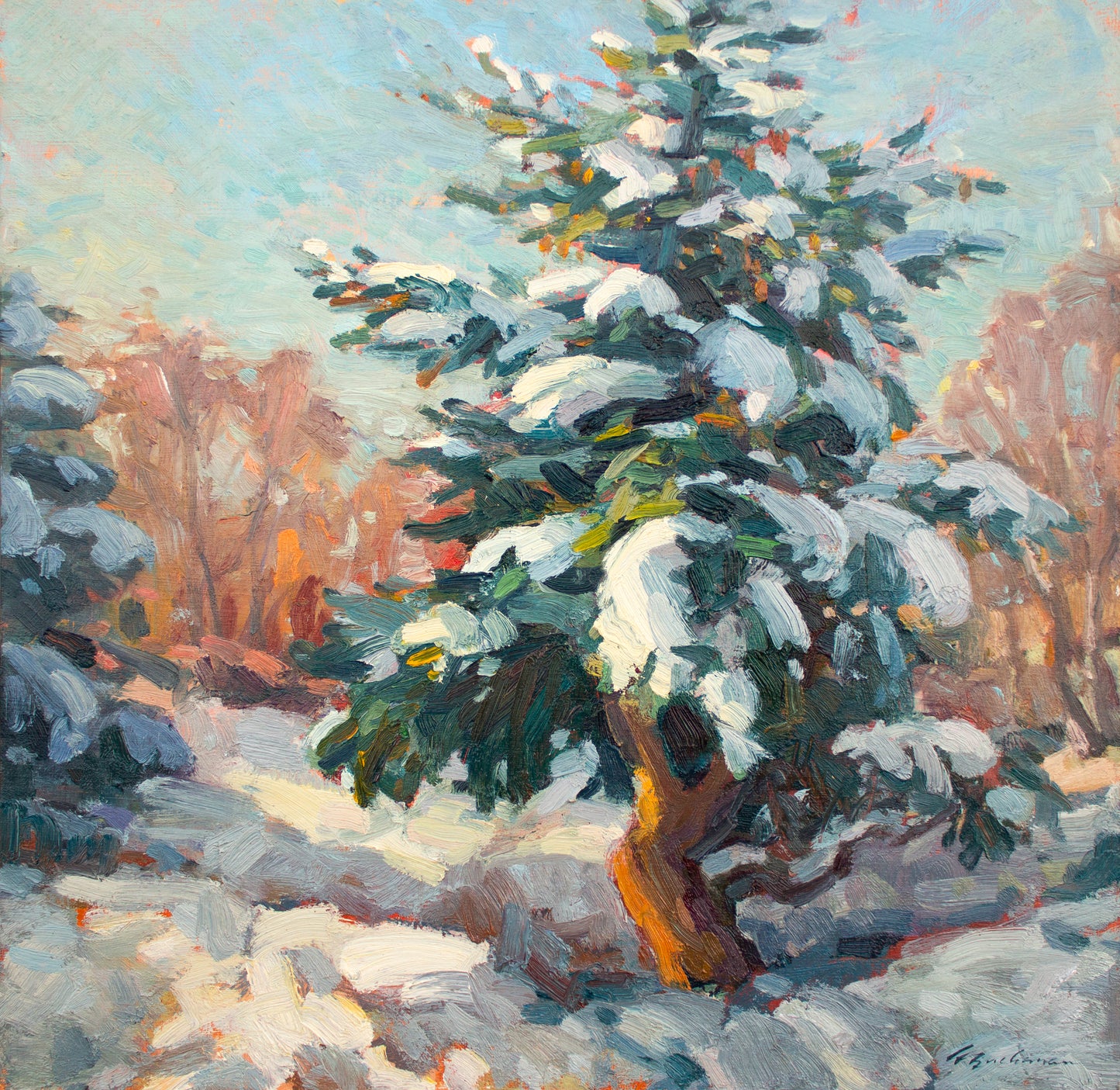 Blue Spruce Morning       16"x 16"