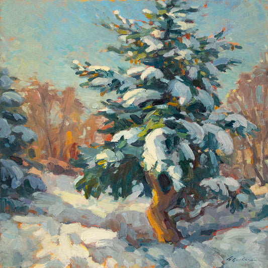 Morning Blue Spruce     16" x 16"
